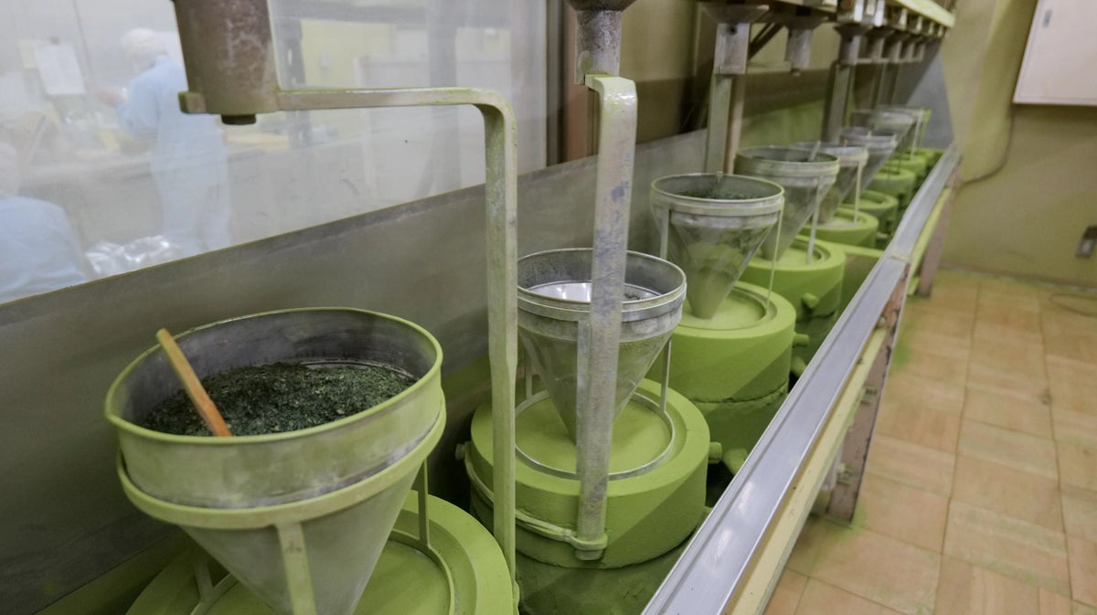 Frisk matcha fra Japan